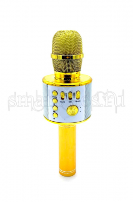Микрофон 858L ЗОЛОТОЙ
